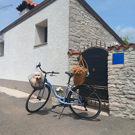 Authentic Istria&Pet Friendly Apartment Banko Near Rovinj 坎法奈尔 外观 照片