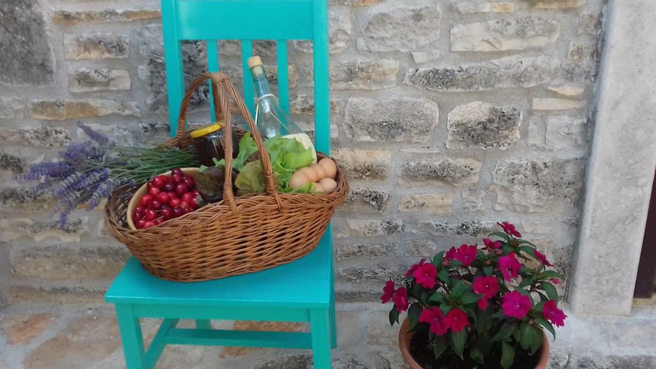 Authentic Istria&Pet Friendly Apartment Banko Near Rovinj 坎法奈尔 外观 照片