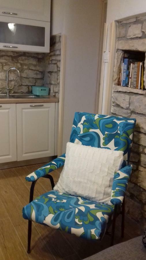Authentic Istria&Pet Friendly Apartment Banko Near Rovinj 坎法奈尔 外观 照片
