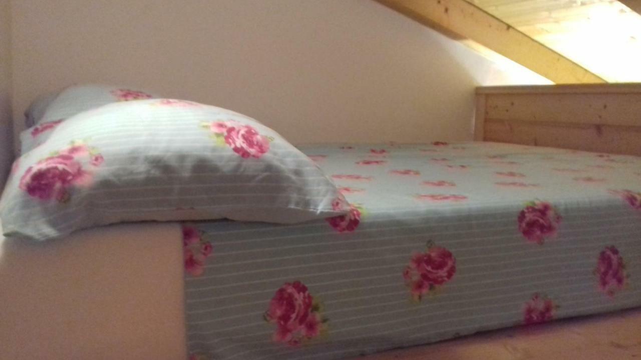 Authentic Istria&Pet Friendly Apartment Banko Near Rovinj 坎法奈尔 外观 照片