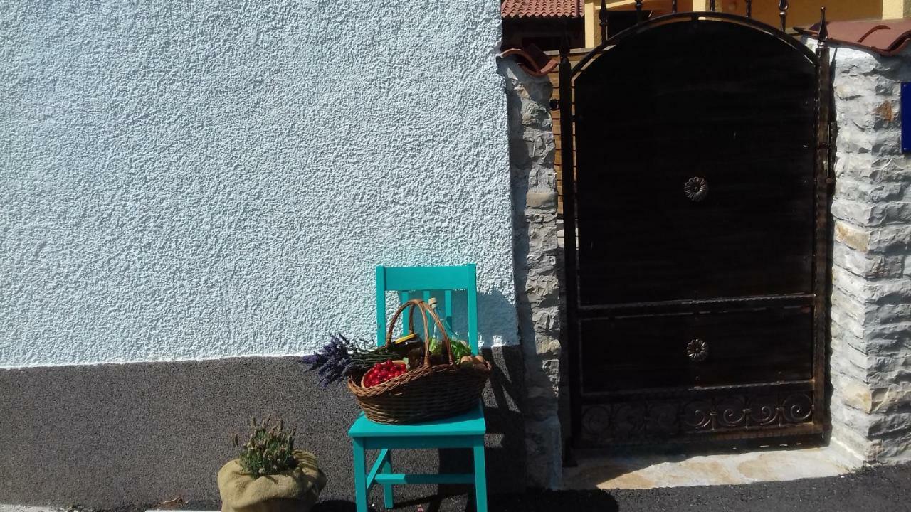 Authentic Istria&Pet Friendly Apartment Banko Near Rovinj 坎法奈尔 外观 照片