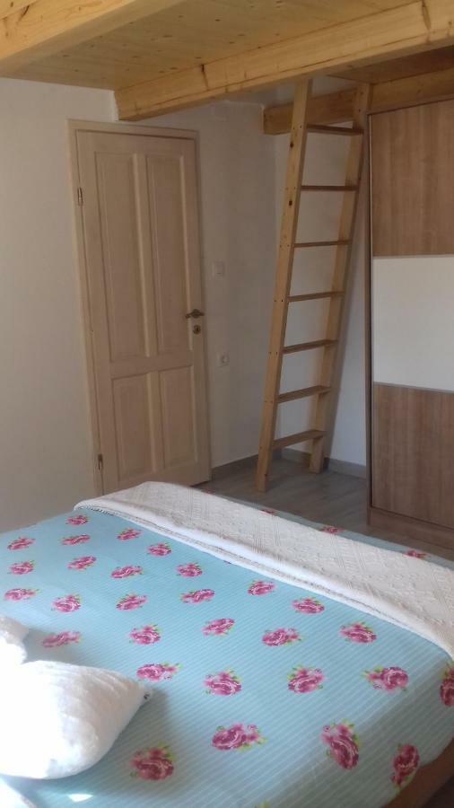 Authentic Istria&Pet Friendly Apartment Banko Near Rovinj 坎法奈尔 外观 照片