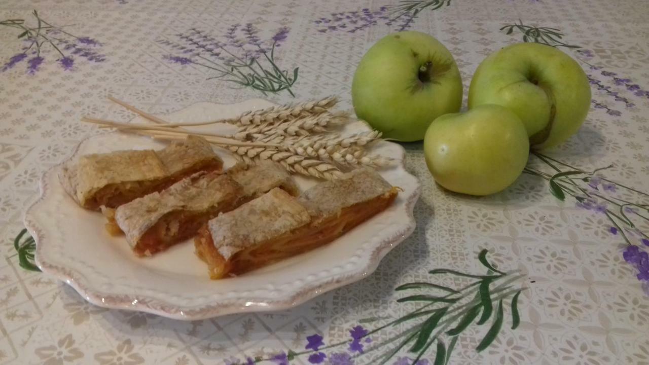 Authentic Istria&Pet Friendly Apartment Banko Near Rovinj 坎法奈尔 外观 照片